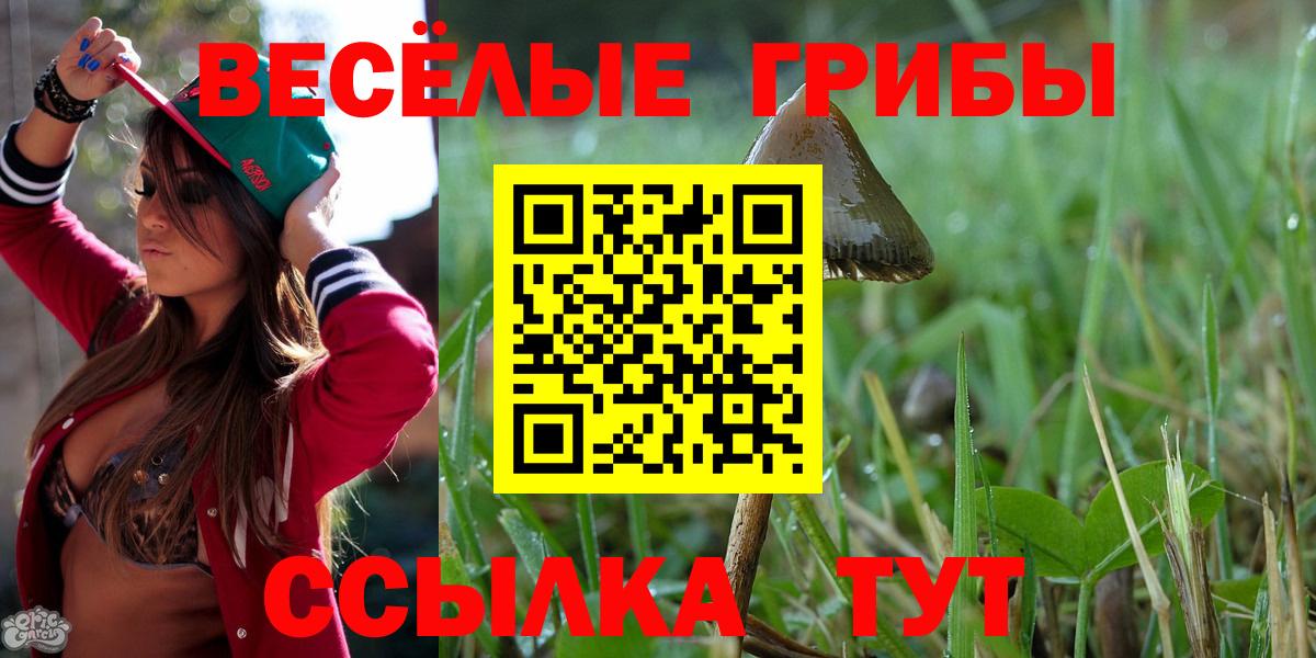 Псилоцибиновые грибы Psilocybine cubensis  Вход с VPN  Кирово-Чепецк 